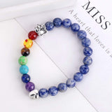 Pulsera Monumento Puente Celestial – Regalo con 7 Perlas de Chakra por la Pérdida de una Mascota