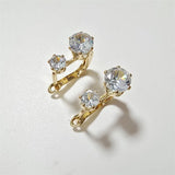 Pendientes con Zirconio Europeo y Americano